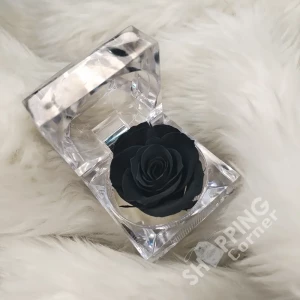 Eternal Preserved Black Rose Flower In Acrylic Crystal Ring Box